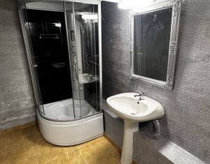 Appartement 2 chambres à louer dans Cluj-napoca