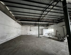 Espace Industriel à louer dans Cluj-napoca