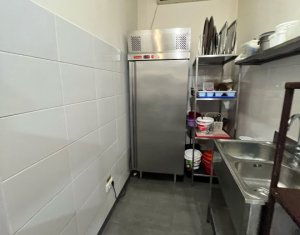 Espace Commercial à louer dans Cluj-napoca, zone Marasti