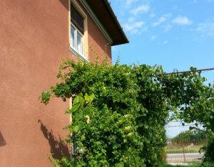 Maison 6 chambres à vendre dans Juc-herghelie