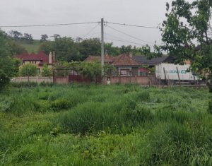 Maison 6 chambres à vendre dans Juc-herghelie