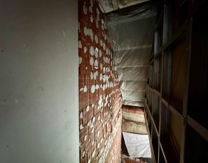 Maison 3 chambres à vendre dans Floresti