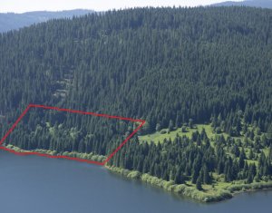 Terrain à vendre dans Belis