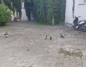 Appartement 2 chambres à vendre dans Cluj-napoca, zone Centru