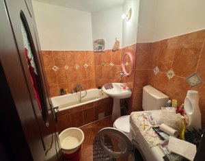 Appartement 1 chambres à louer dans Cluj-napoca, zone Manastur