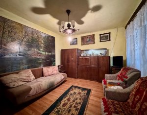 Maison 2 chambres à vendre dans Cluj-napoca