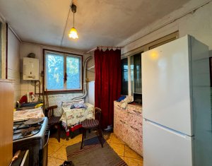 Maison 2 chambres à vendre dans Cluj-napoca