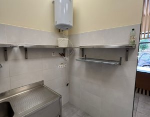Espace Commercial à vendre dans Cluj-napoca, zone Centru