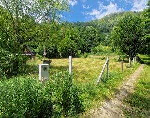 Teren ideal pentru casă de vacanță, aproape de coada lacului Tarnița