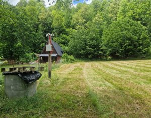 Teren ideal pentru casă de vacanță, aproape de coada lacului Tarnița