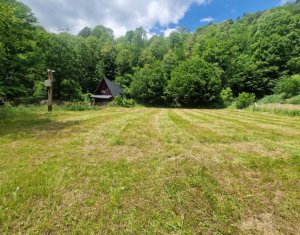 Teren ideal pentru casă de vacanță, aproape de coada lacului Tarnița