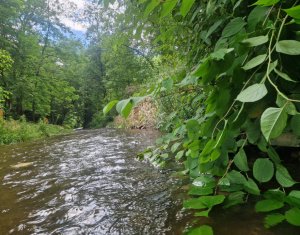 Teren ideal pentru casă de vacanță, aproape de coada lacului Tarnița