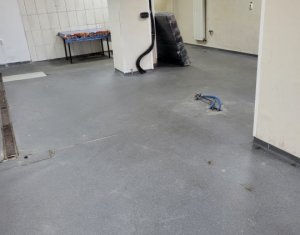 Espace Commercial à louer, 160m2 dans Cluj-napoca, zone Manastur
