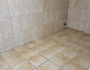 Espace Commercial à louer dans Floresti