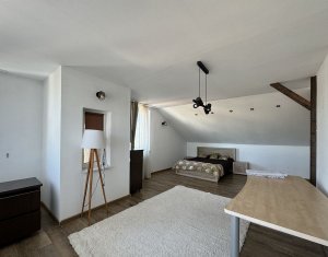 Appartement 4 chambres à louer dans Cluj-napoca, zone Andrei Muresanu