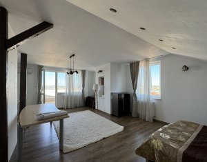 Appartement 4 chambres à louer dans Cluj-napoca, zone Andrei Muresanu