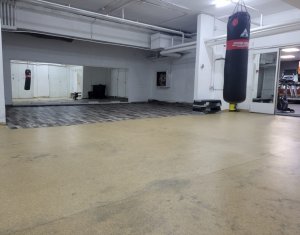 Espace Commercial à louer dans Cluj-napoca, zone Manastur