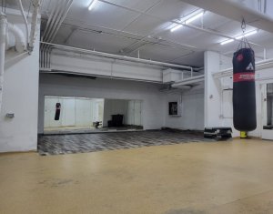 Espace Commercial à louer dans Cluj-napoca, zone Manastur
