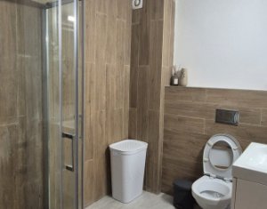 Appartement 1 chambres à louer dans Floresti