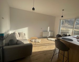 Appartement 2 chambres à vendre dans Floresti