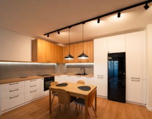Appartement 2 chambres à louer dans Cluj-napoca, zone Gara
