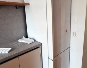Appartement 3 chambres à louer dans Cluj-napoca, zone Plopilor