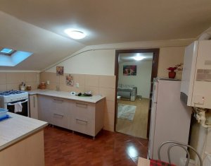Appartement 1 chambres à vendre dans Cluj-napoca, zone Iris