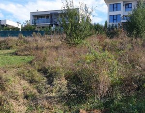 , 1000m2 in Cluj-napoca, zona Borhanci