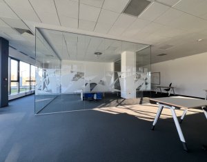 Bureau à louer dans Cluj-napoca, zone Gruia