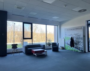 Bureau à louer dans Cluj-napoca, zone Gruia