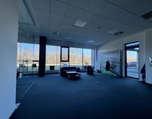 Bureau à louer dans Cluj-napoca, zone Gruia