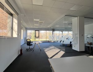 Bureau à louer dans Cluj-napoca, zone Gruia