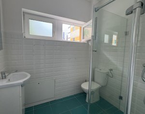 Maison 4 chambres à louer dans Cluj-napoca, zone Buna Ziua