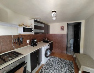 Maison 4 chambres à vendre dans Cluj-napoca, zone Dambul Rotund