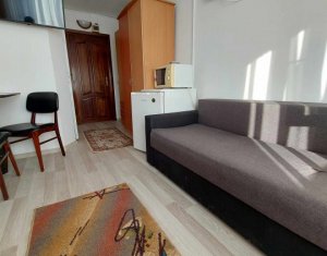Appartement 1 chambres à louer dans Cluj-napoca, zone Intre Lacuri