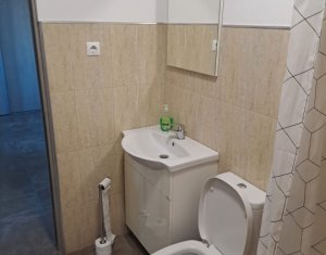 Appartement 2 chambres à louer dans Floresti