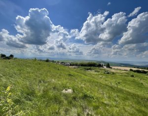 Teren superb in Salicea, 3695 mp, PUZ, drum, apa si curent, zona “La Mesteceni”