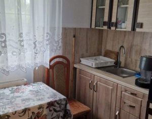 Appartement 1 chambres à vendre dans Cluj-napoca, zone Someseni