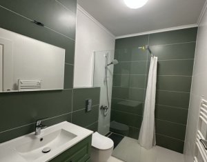 Appartement 1 chambres à louer dans Cluj-napoca, zone Intre Lacuri