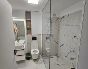 Appartement 2 chambres à louer dans Cluj-napoca, zone Iris