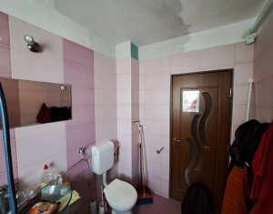 Appartement 2 chambres à vendre dans Floresti