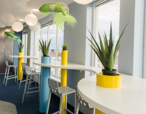 Bureau à louer, 35m2 dans Cluj-napoca, zone Centru