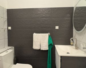 Appartement 2 chambres à louer dans Cluj-napoca