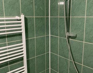 Appartement 1 chambres à vendre dans Cluj-napoca, zone Dambul Rotund