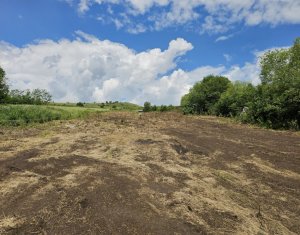 , 1350m2 in Rediu