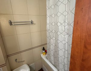 Appartement 2 chambres à louer dans Cluj-napoca, zone Zorilor