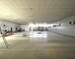 Espace Industriel à louer dans Cluj-napoca