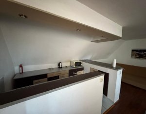 Appartement 4 chambres à louer dans Cluj-napoca, zone Andrei Muresanu