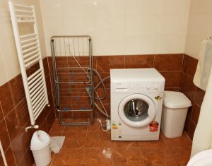Appartement 1 chambres à louer dans Cluj-napoca, zone Plopilor