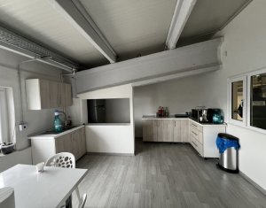 Espace Industriel à louer dans Cluj-napoca, zone Iris